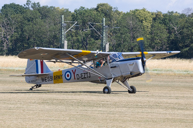 Auster Beagle Terrier A61