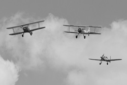 Stearman & Friends 2022