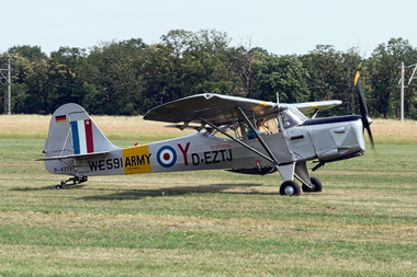 Auster Beagle Terrier A61