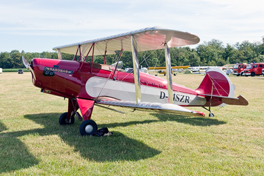 Platzer Kiebitz