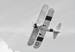 Stearman & Friends 2024